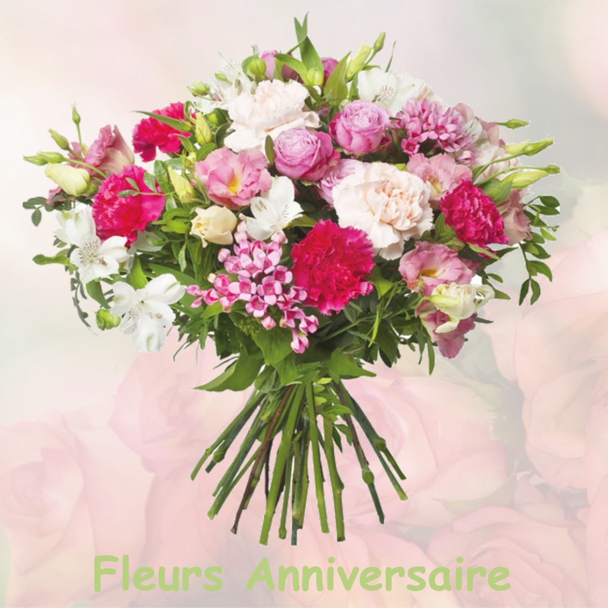 fleurs anniversaire CHEMIN-D-AISEY
